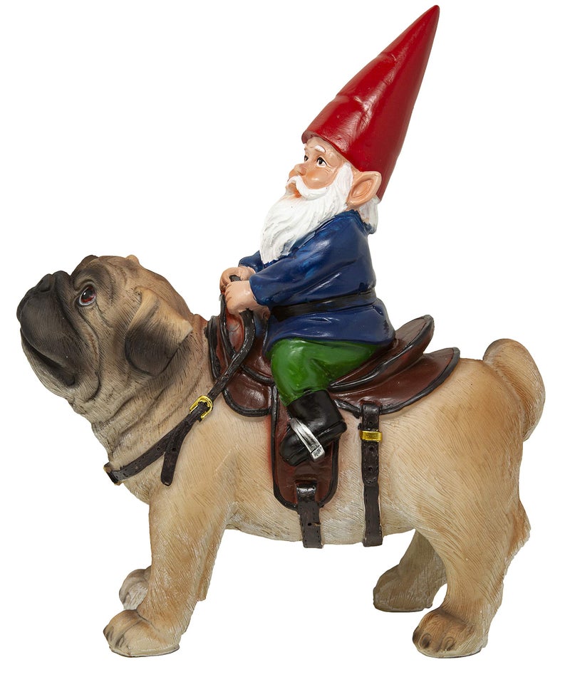 Funny Guy Mugs Garden Gnome Statue - Gnome Riding a Pug - Indoor/Outdoor Garden Gnome Sculpture for Patio, Yard or Lawn - Image 4